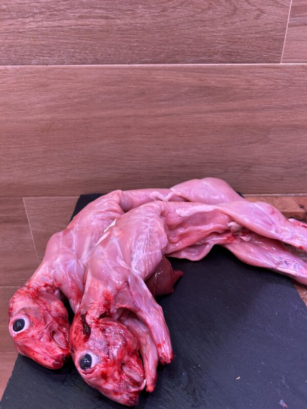conejo de la vega baja (1 unidad, 1kg 1,100 kg aprox)