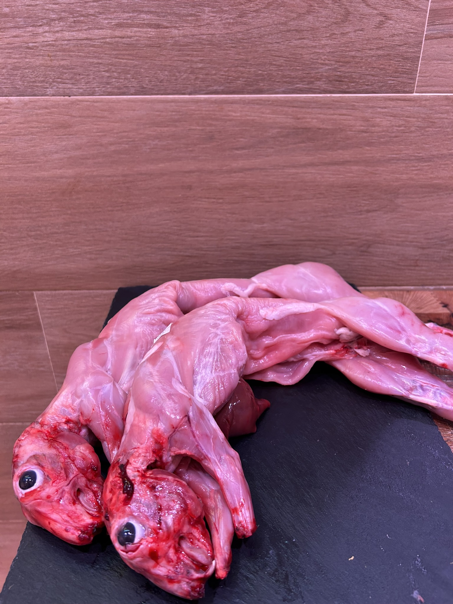 conejo de la vega baja (1 unidad, 1kg 1,100 kg aprox)